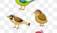 六年级漫画啄木鸟