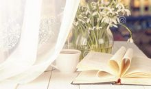 窗台上那本灿烂的书