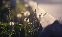 感谢生命中的那次相遇