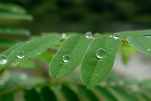 现场下雨