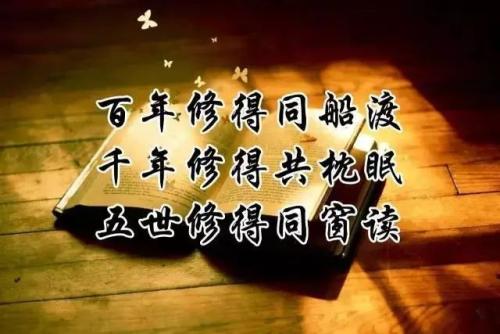 我最好的同学