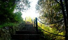 诗意的森林公园