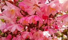 我所珍惜的温暖