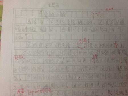 用我的心跳着作曲