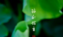 阳光里的爱_600字