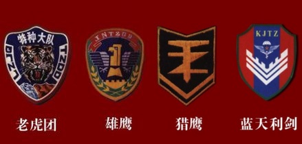一项特殊的任务
