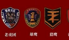 一项特殊的任务