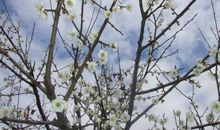 念君时，雪满乾坤