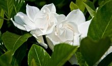 这一次我真感动