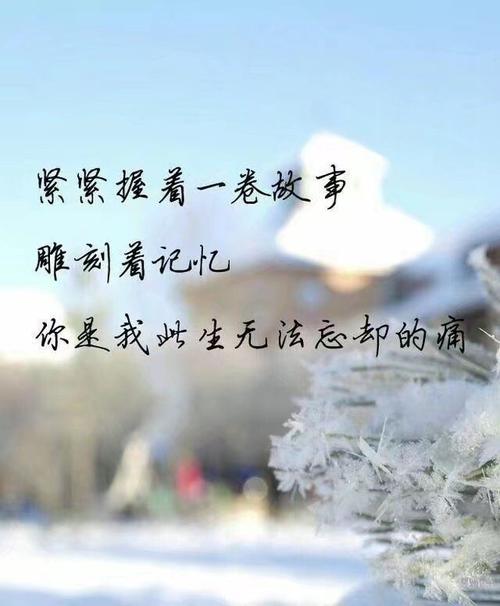 我感到依恋