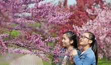 在意是另一种春天