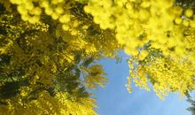 给盲人一点阳光，让他们温暖如春