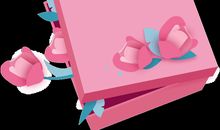 那一份独特的礼物