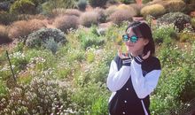 感恩花季途中的你