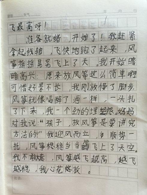 风筝飞行作文二年级