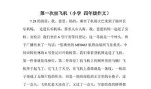 作文第一次坐飞机600字