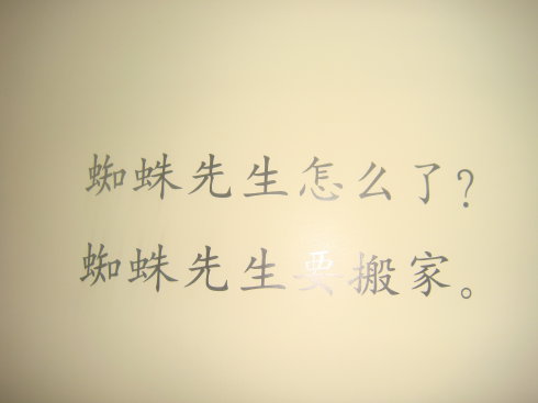 给蜘蛛先生的信