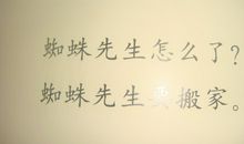 写给蜘蛛先生的一封信