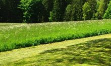 又是阳光明媚的一天