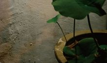 坚持是一种最美的生命姿态