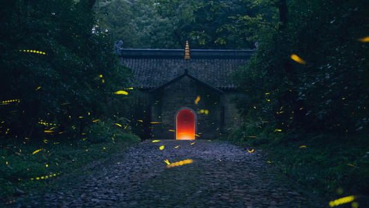 仲夏萤火虫之夜