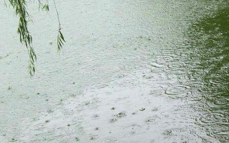 那天，雨一直在下