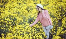 花开花落，已是深秋