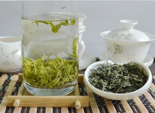 碧螺春