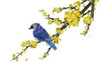 做一个执着的追梦人