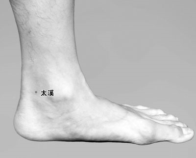 我刚换了个变形器