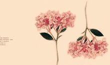 那一抹美好的时光