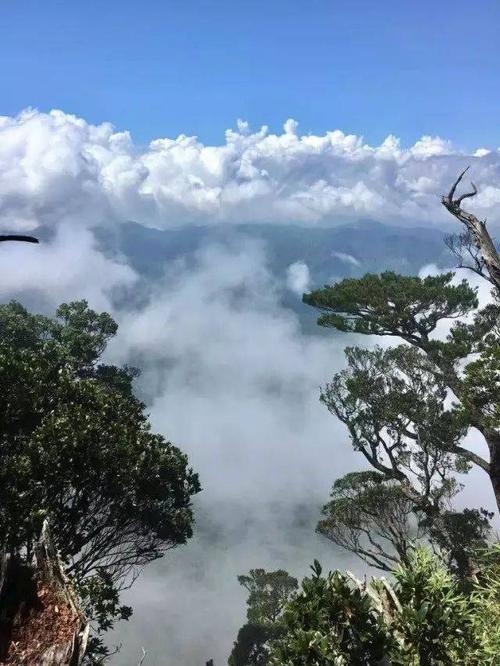五指山游记