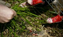 震撼我心灵的一缕粥香