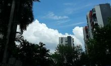 最美的风景在身边