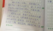 身边的民风民俗作文500字