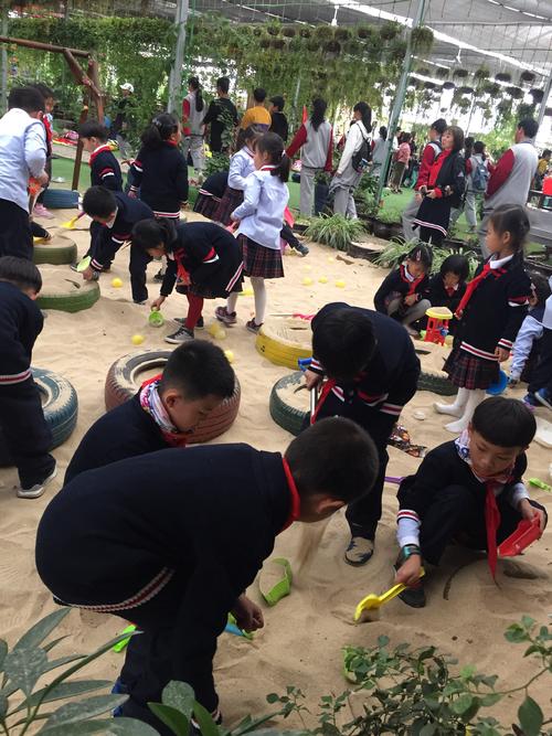 秋季学习活动