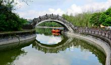 倾听那一片鸟鸣