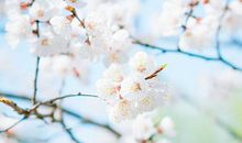 万水千山，诗意前行