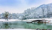 西湖雪景