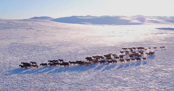 一场难忘的雪