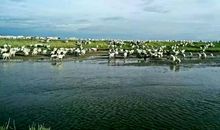 最美的风景无处不在