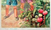 他在我记忆深处