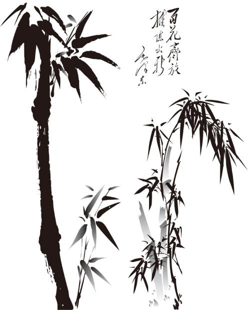 我眼中的竹子