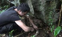 偷吃的感觉真好