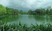 深有感悟的风景