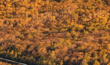 总会想起那片风景