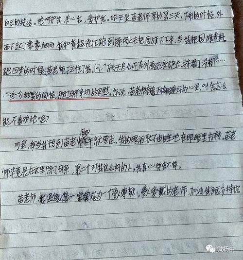 老师生日的作文