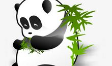 我可爱的小动物