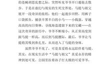 马提与祖父读后感