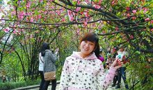 追逐梦想，我的青春旋律